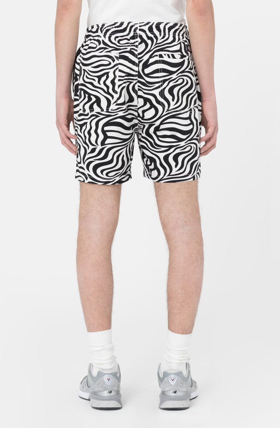 Dickies Cloud Zebra Bermuda Shorts