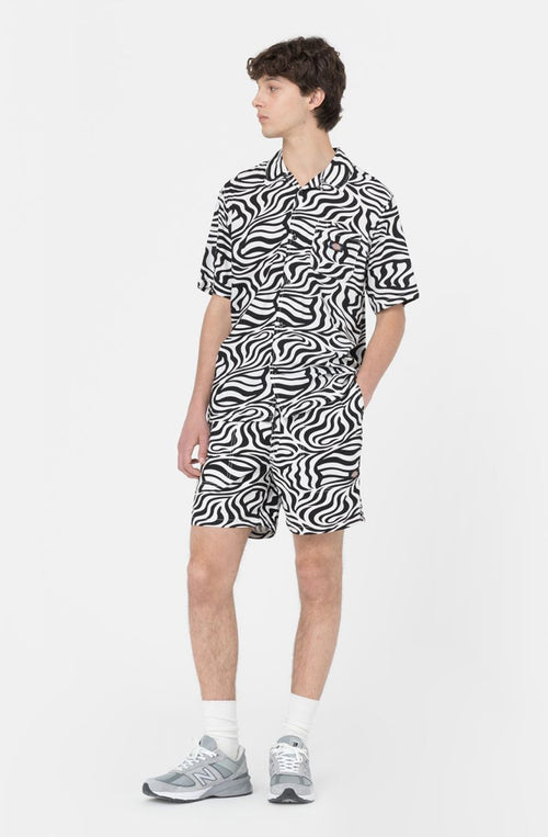 Bermuda Dickies Cloud Zebra