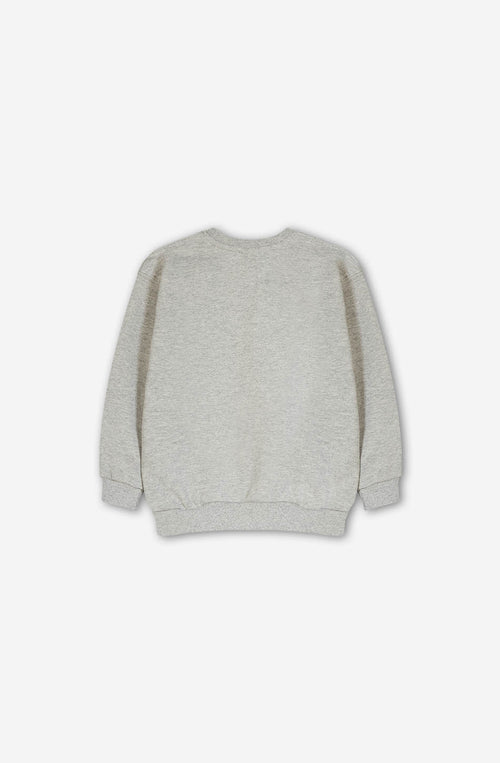 World Gray Sweatshirt