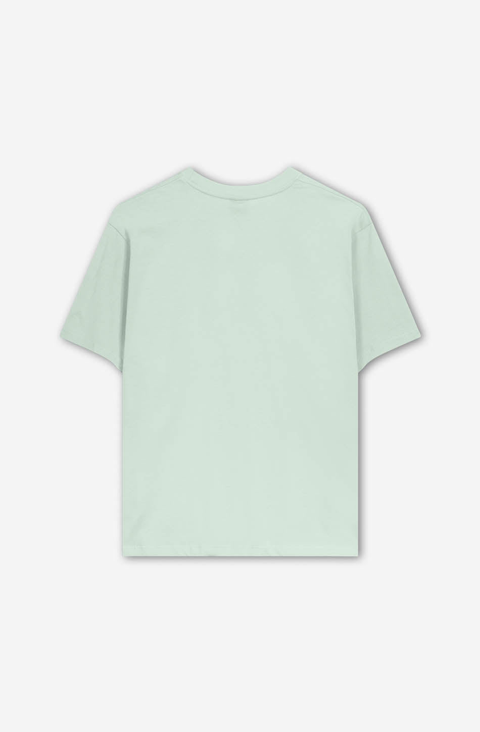 Washed Massimo Apple Green T-shirt