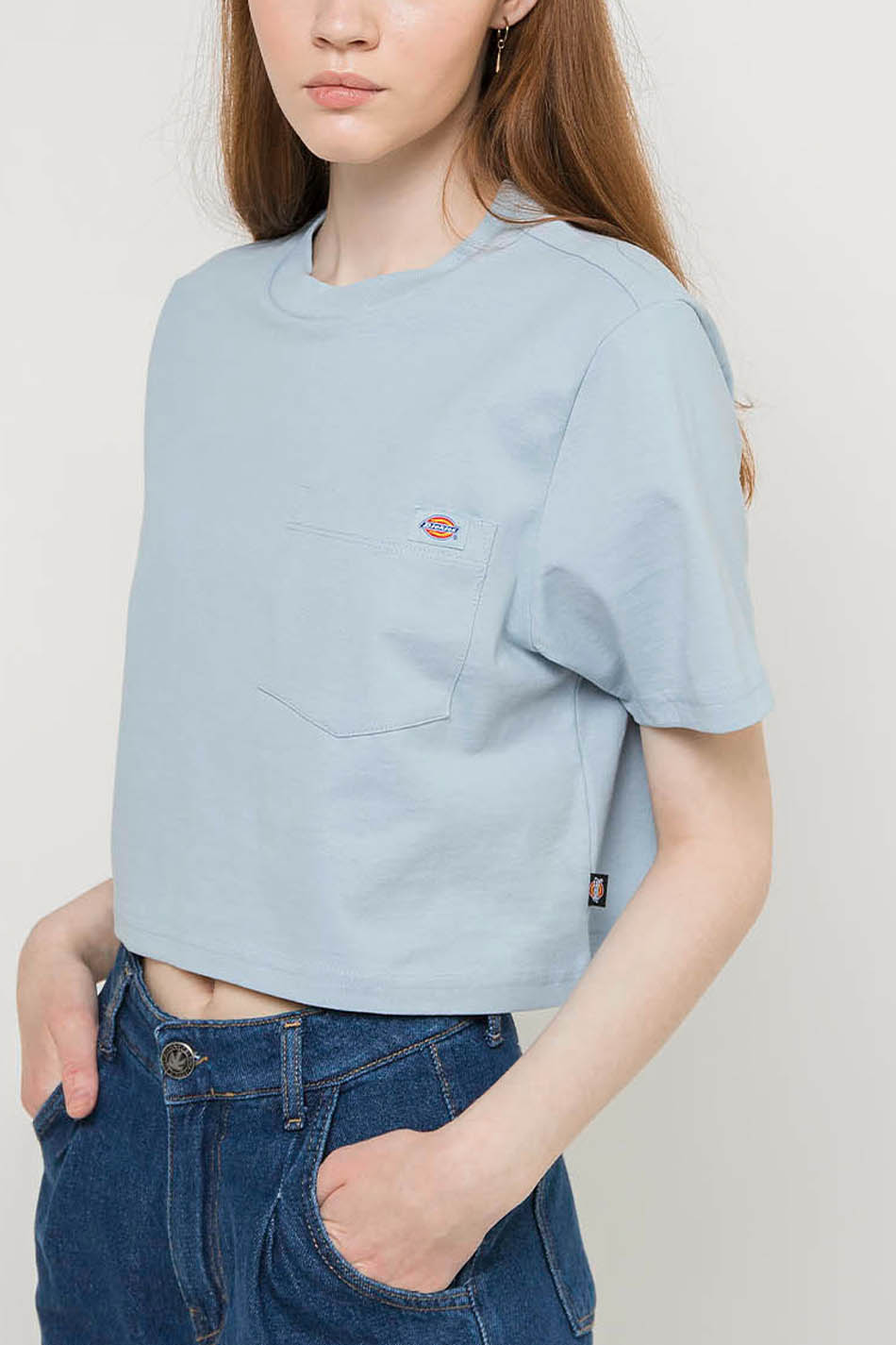 Dickies Porterdale blue shirt Crop