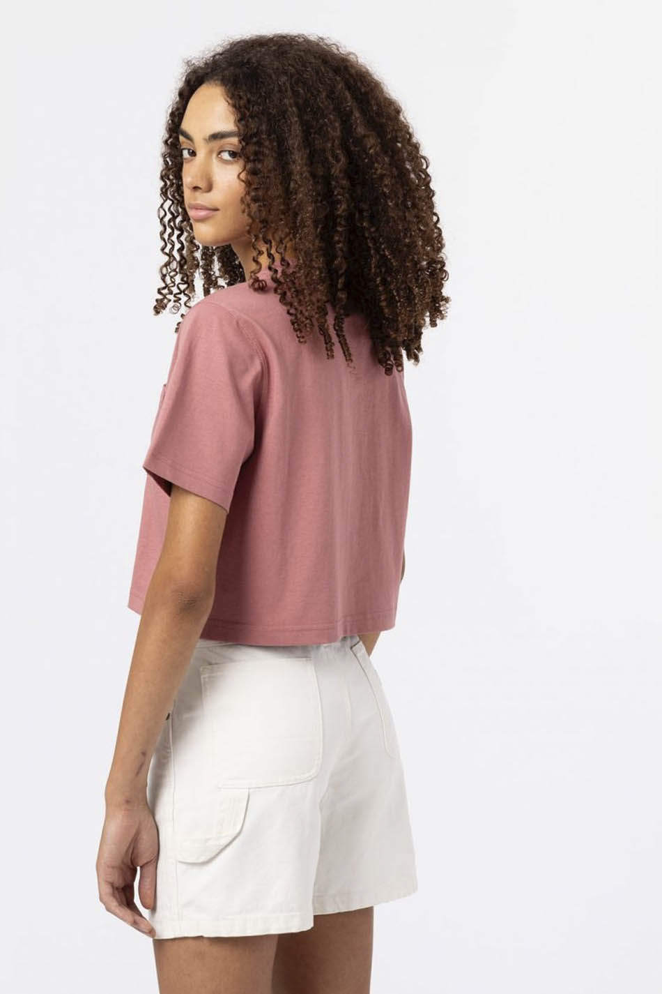 Dickies Porterdale Crop T-shirt