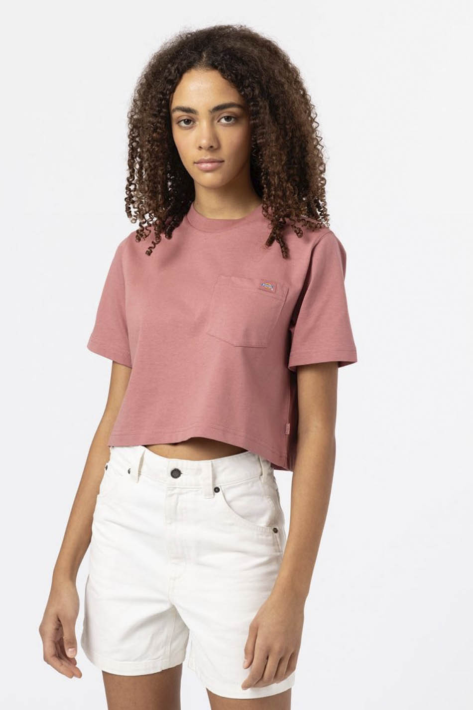 Dickies Porterdale Crop T-shirt