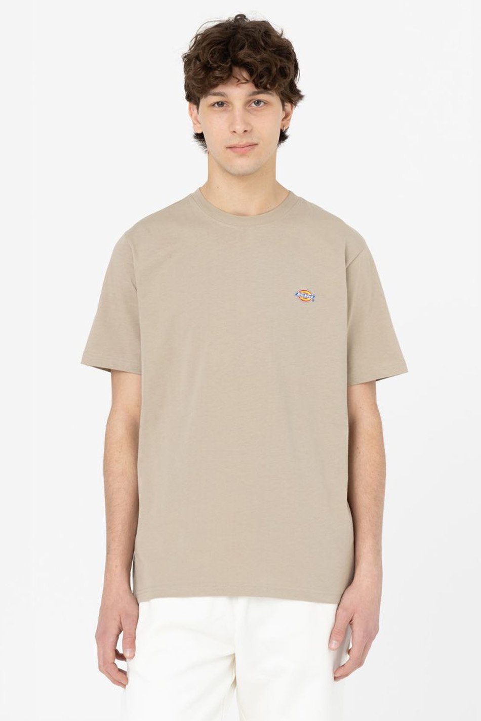 Dickies Mapleton T-shirt